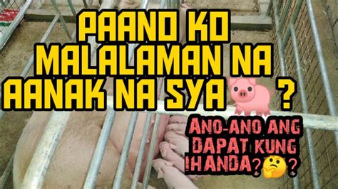 INAHING BABOY: PALATANDAAN O SENYALES NA MALAPIT .